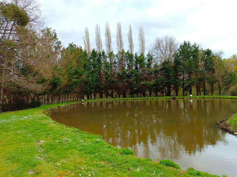 House La Ferté-Saint-Cyr - 3 bedrooms - 343m²