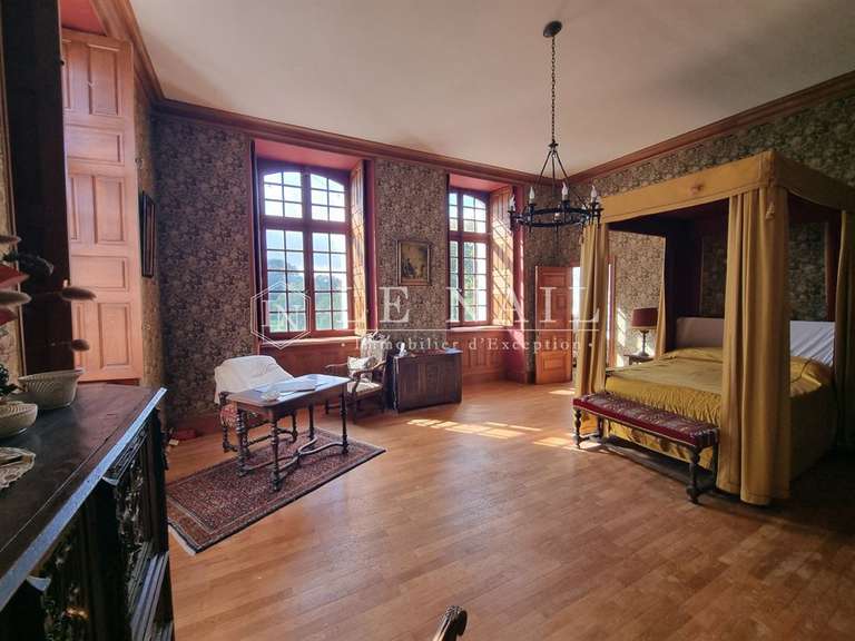 Castle La Flèche - 15 bedrooms - 420m²