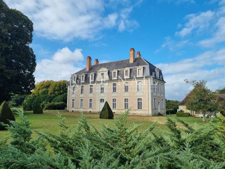 Castle La Flèche - 15 bedrooms - 420m²