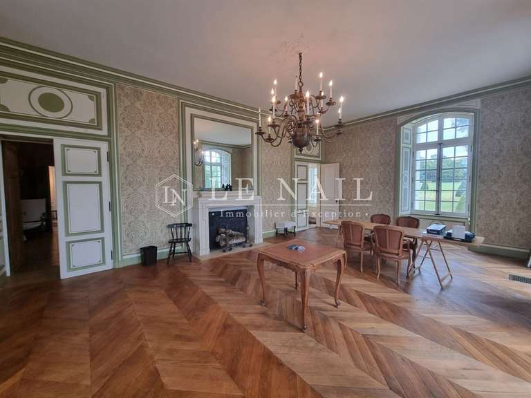 Château La Flèche - 15 chambres - 420m²