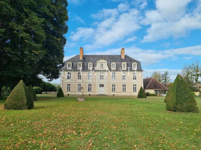Castle La Flèche - 15 bedrooms - 420m²