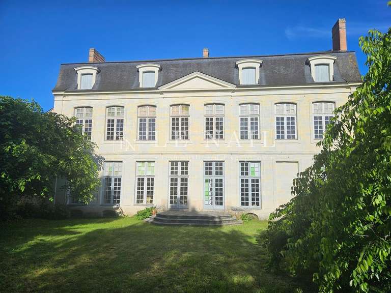 Hôtel particulier La Flèche - 6 chambres - 350m²