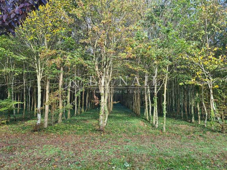 Maison La Flèche - 4 chambres - 210m²