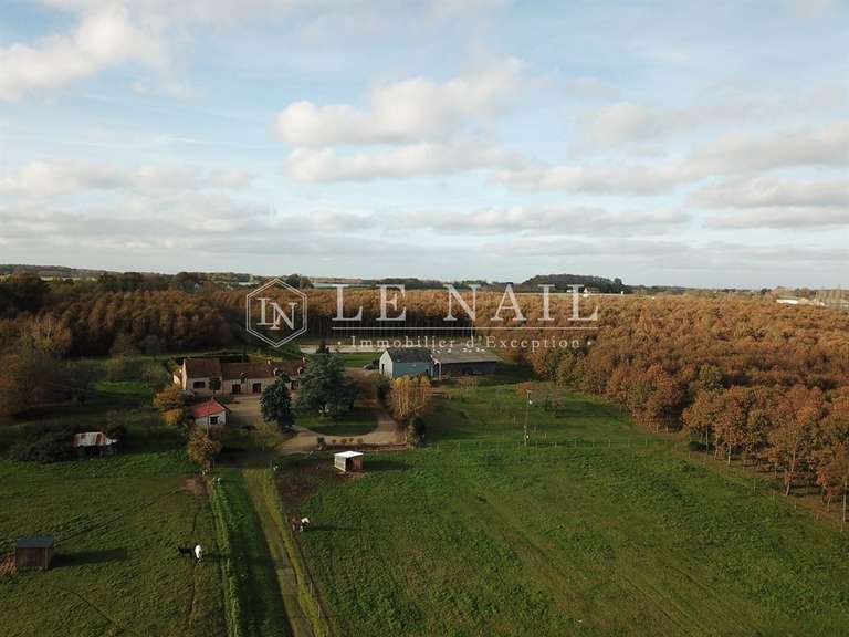 Maison La Flèche - 4 chambres - 210m²