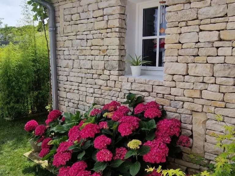 Maison La Flotte - 3 chambres - 124m²