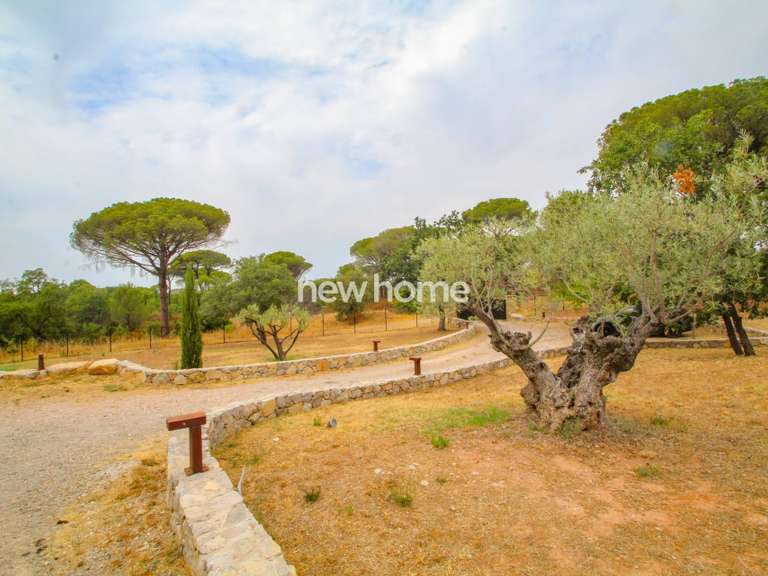 Maison La Garde-Freinet - 3 chambres - 200m²