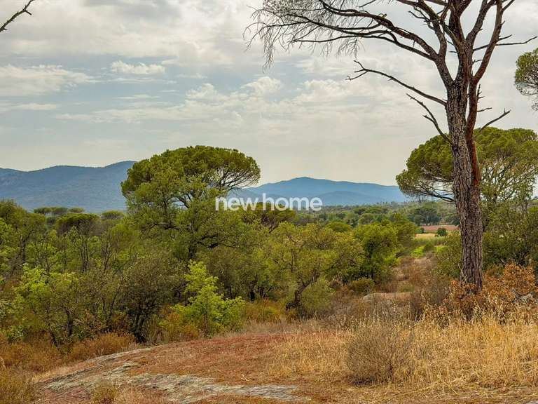 Maison La Garde-Freinet - 3 chambres - 200m²