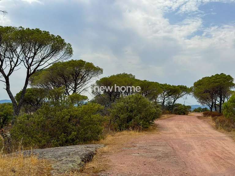 Maison La Garde-Freinet - 3 chambres - 200m²