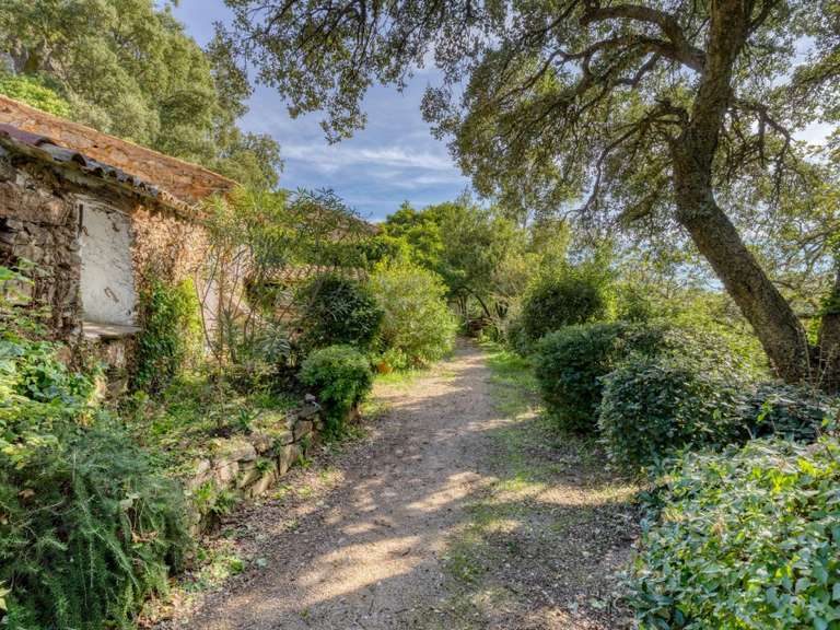 Property La Garde-Freinet