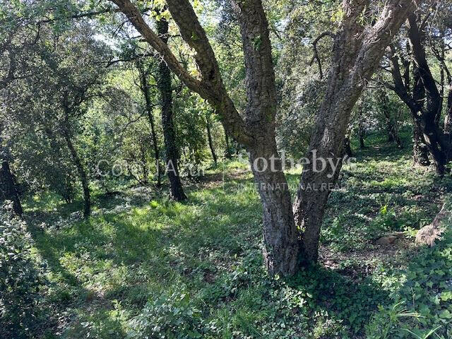 Sale Land La Garde-Freinet