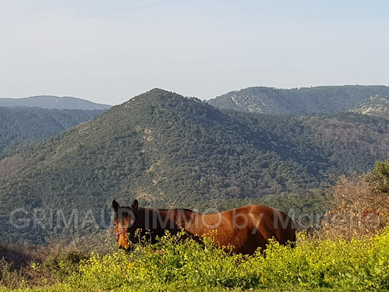 Villa La Garde-Freinet - 5 bedrooms - 360m²