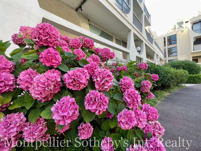 Apartment La Grande-Motte - 2 bedrooms - 122m²