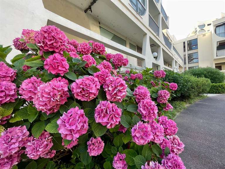Appartement La Grande-Motte - 2 chambres - 122m²