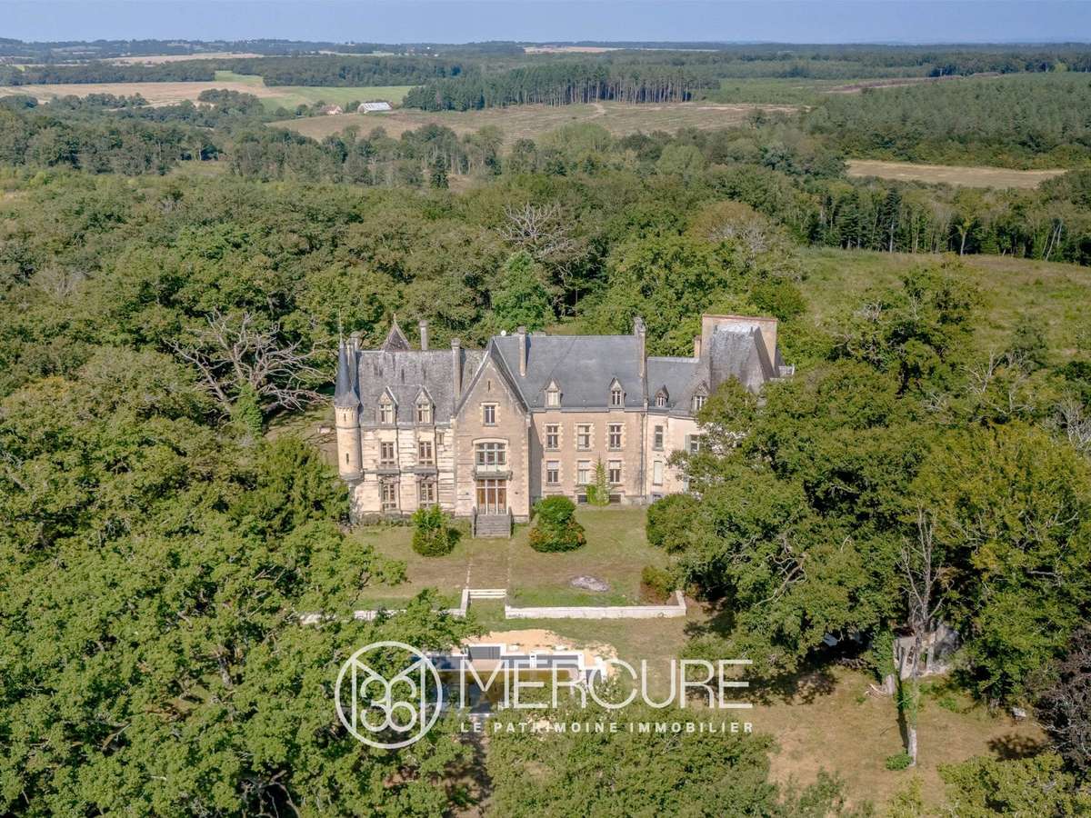 Château La Guerche-sur-l'Aubois