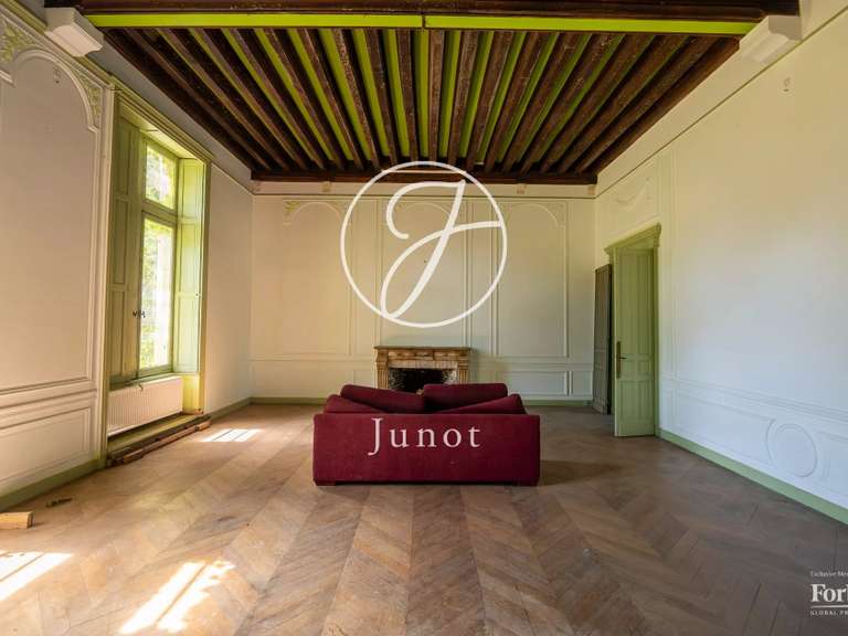 Château La Guerche-sur-l'Aubois - 16 chambres - 1213m²