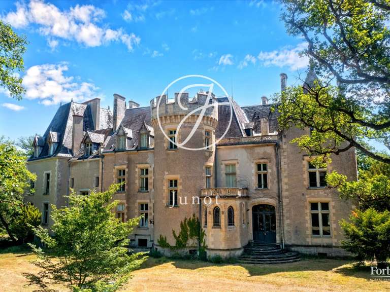 Château La Guerche-sur-l'Aubois - 16 chambres - 1213m²