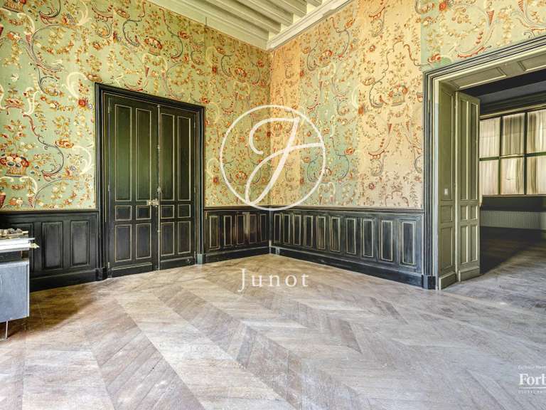 Château La Guerche-sur-l'Aubois - 16 chambres - 1213m²