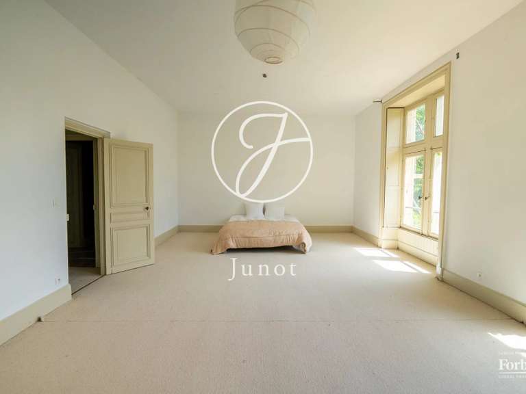 Château La Guerche-sur-l'Aubois - 16 chambres - 1213m²