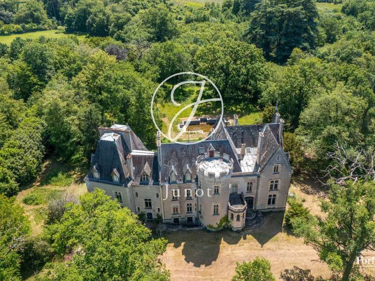 Château La Guerche-sur-l'Aubois - 16 chambres - 1213m²