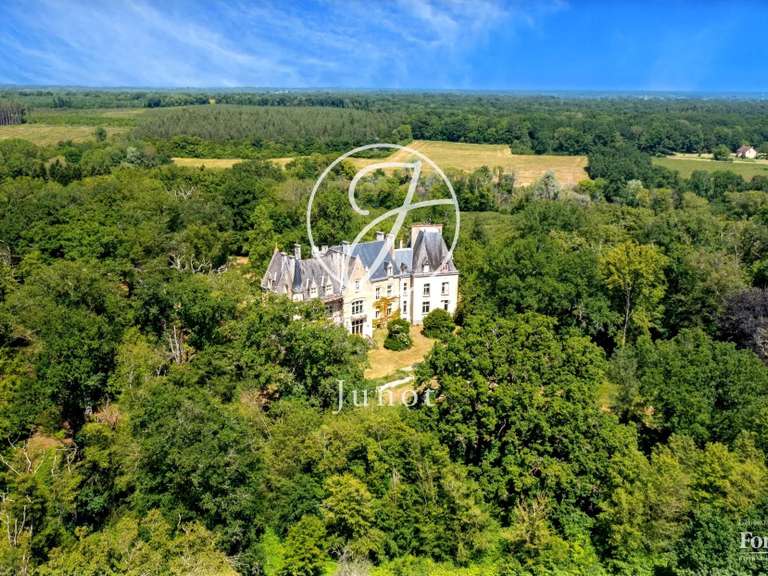 Château La Guerche-sur-l'Aubois - 16 chambres - 1213m²