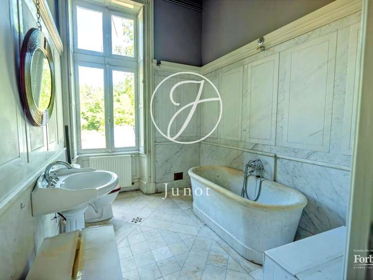 Château La Guerche-sur-l'Aubois - 16 chambres - 1213m²
