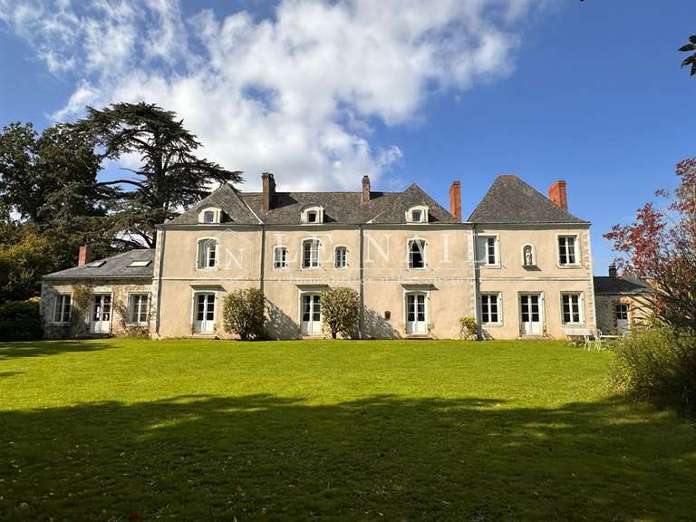 Manor La Haie-Fouassière - 8 bedrooms - 415m²