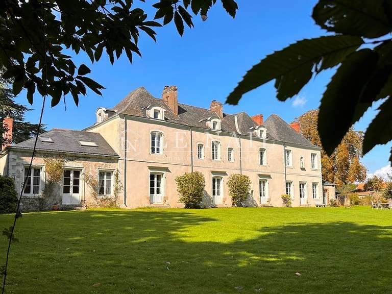 Manor La Haie-Fouassière - 8 bedrooms - 415m²