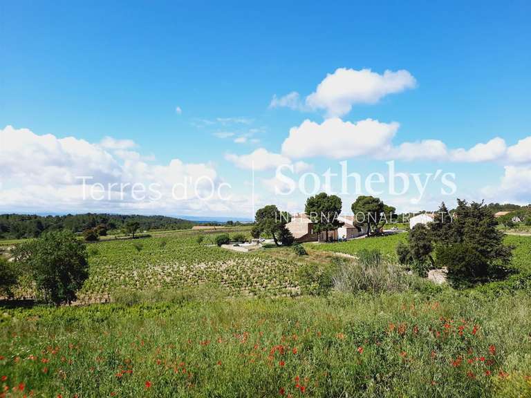 Vineyard La Livinière - 6 bedrooms - 2300m²