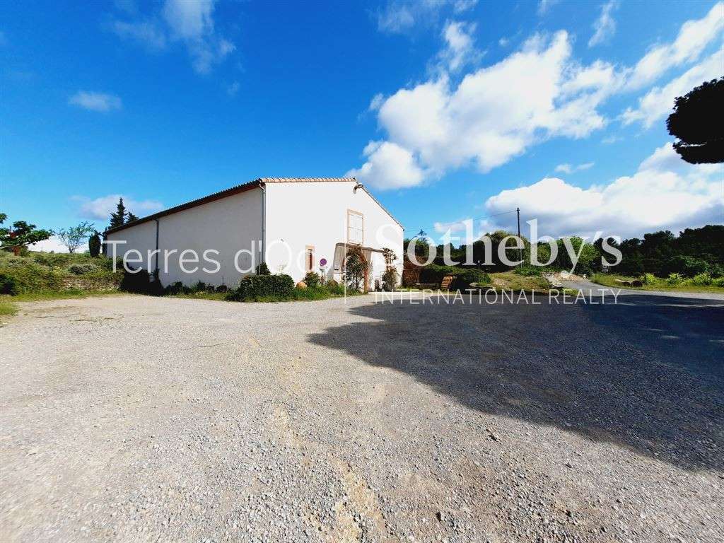 Vineyard La Livinière