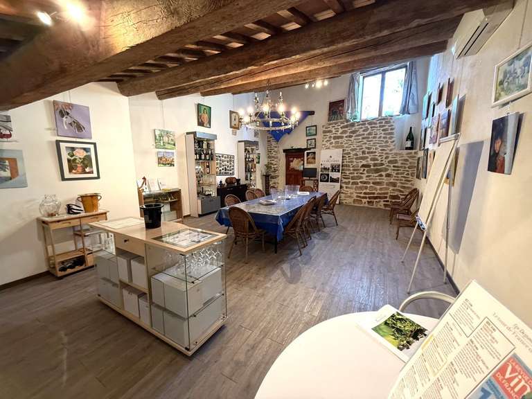 Maison La Livinière - 270m²