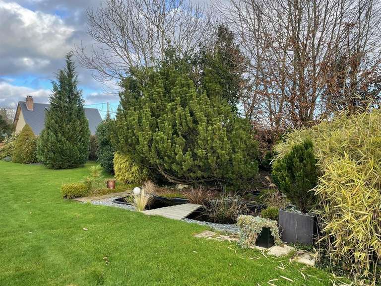 House La Londe - 5 bedrooms - 250m²