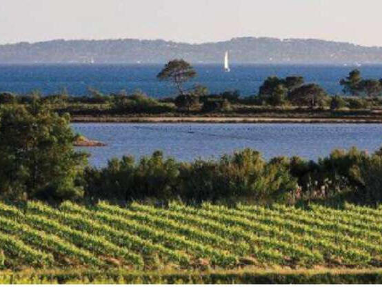 Apartment La Londe-les-Maures