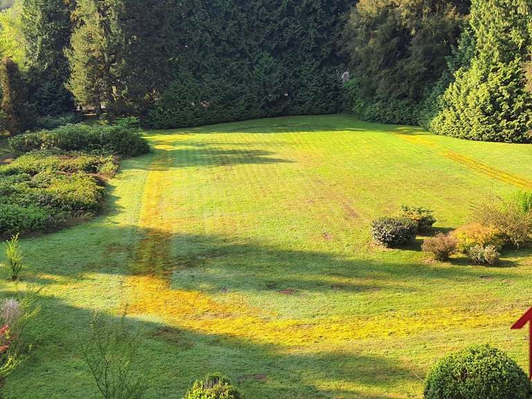 Château La Longine - 7 chambres - 386m²