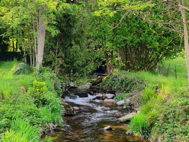 Maison La Longine - 7 chambres - 386m²