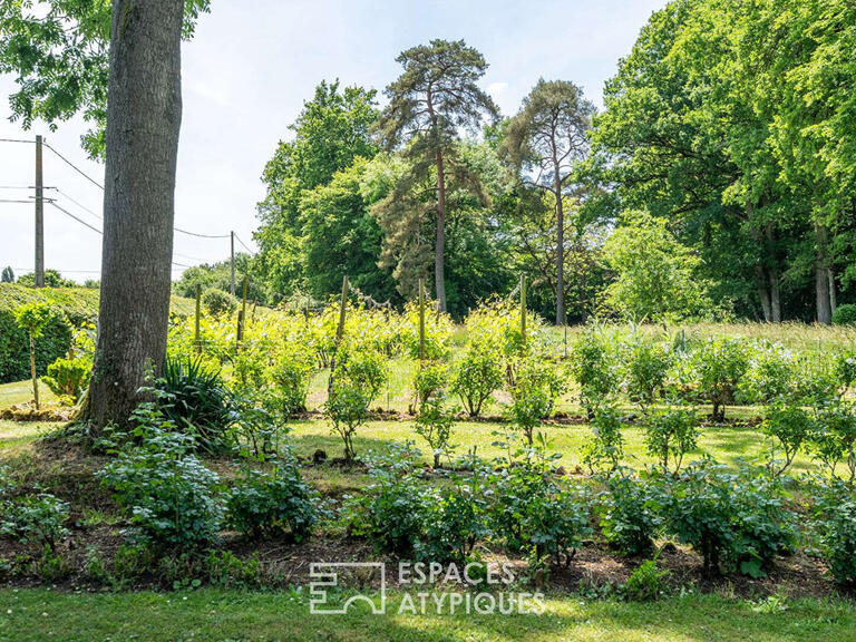 House La Membrolle-sur-Choisille - 4 bedrooms