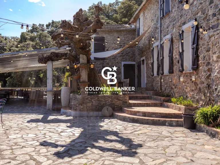 Maison La Môle - 8 chambres - 355m²