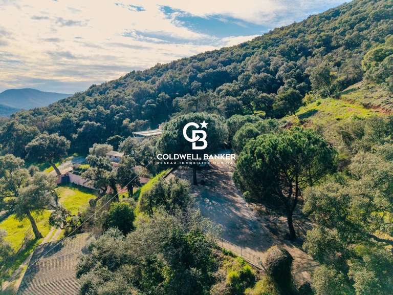 Maison La Môle - 8 chambres - 355m²