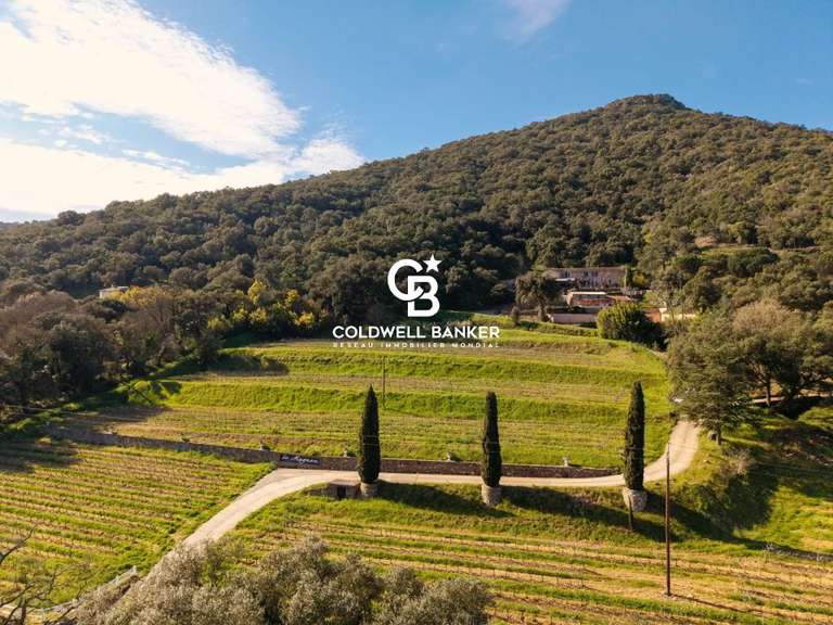 Maison La Môle - 8 chambres - 355m²