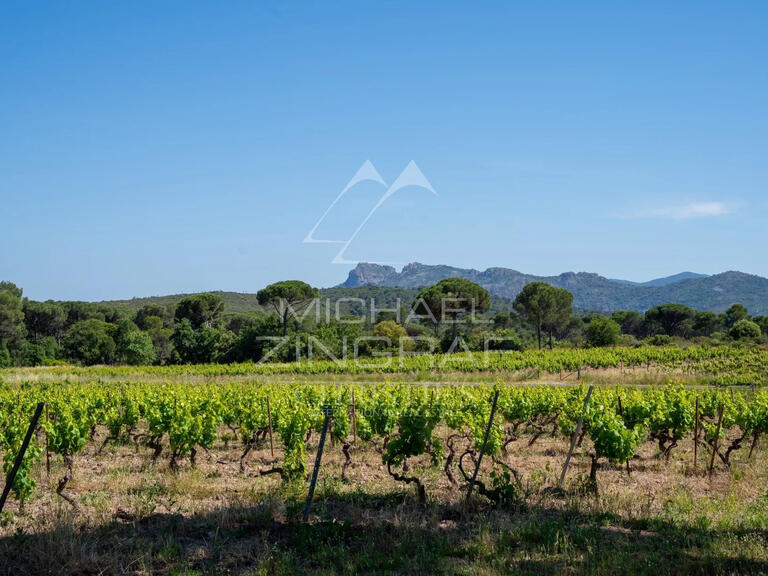 Domaine viticole La Motte - 1014m²
