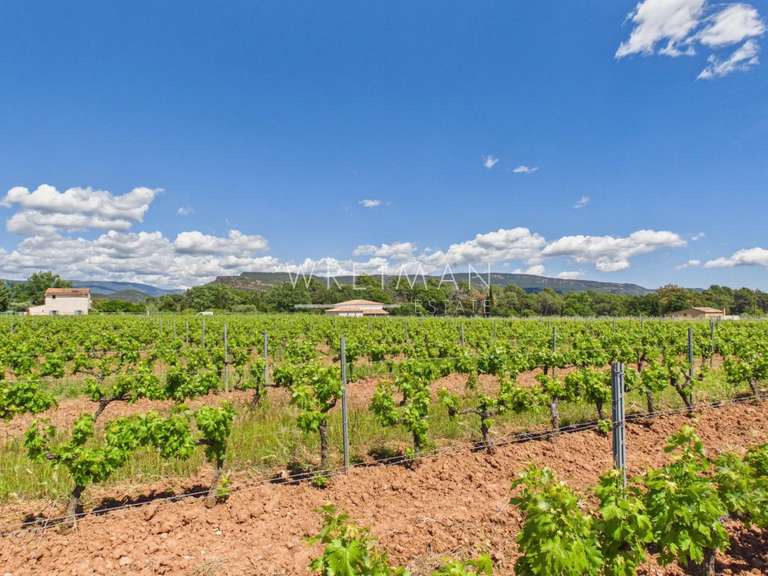 Domaine viticole La Motte - 500m²