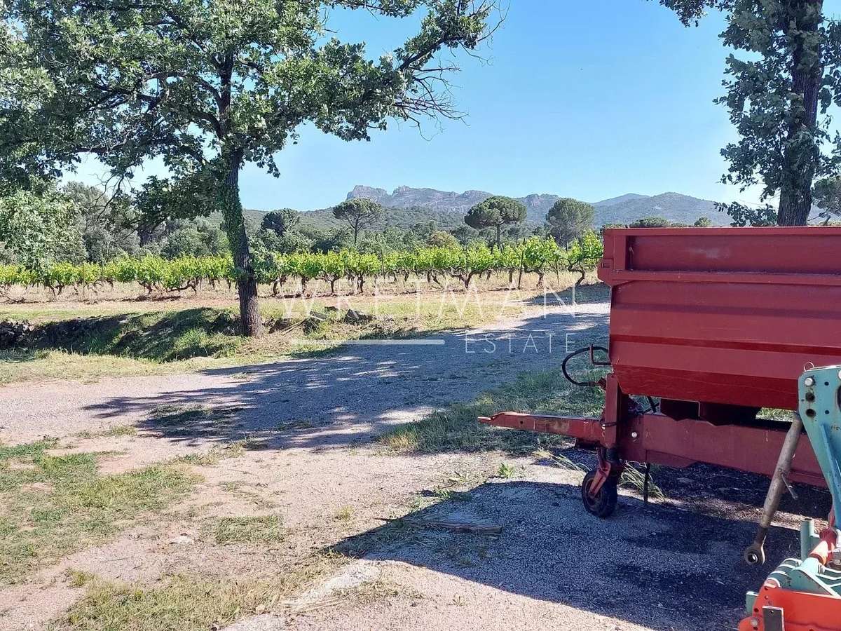 Vineyard La Motte