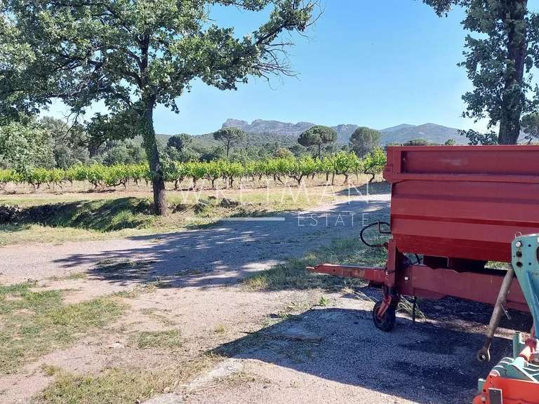 Vineyard La Motte - 6 bedrooms - 285m²