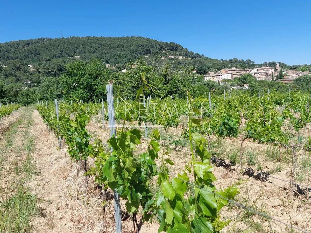 Vineyard La Motte