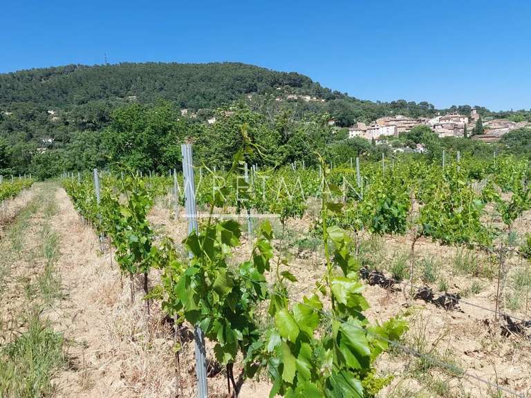 Vineyard La Motte - 6 bedrooms - 285m²