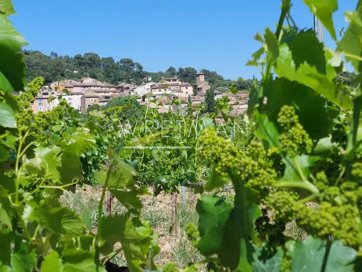 Vineyard La Motte