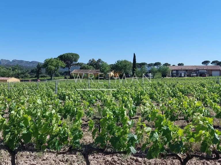 Vineyard La Motte - 6 bedrooms - 285m²