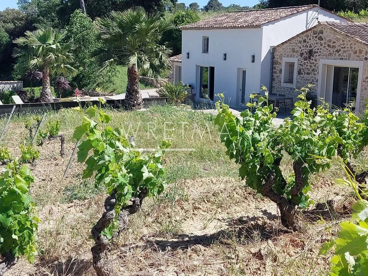 Vineyard La Motte