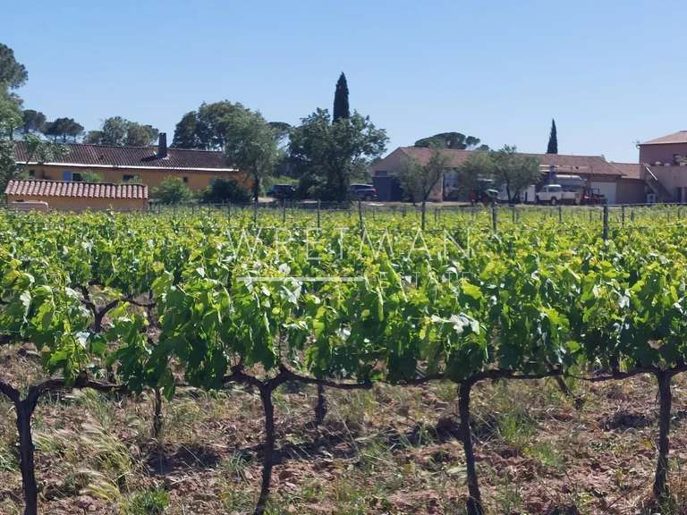 Vineyard La Motte - 6 bedrooms - 285m²