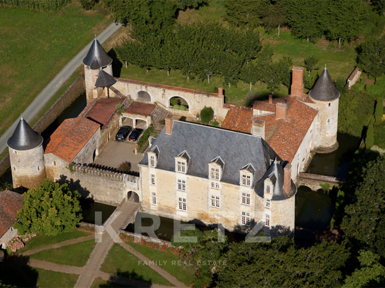 Château La Réorthe - 9 chambres - 1200m²