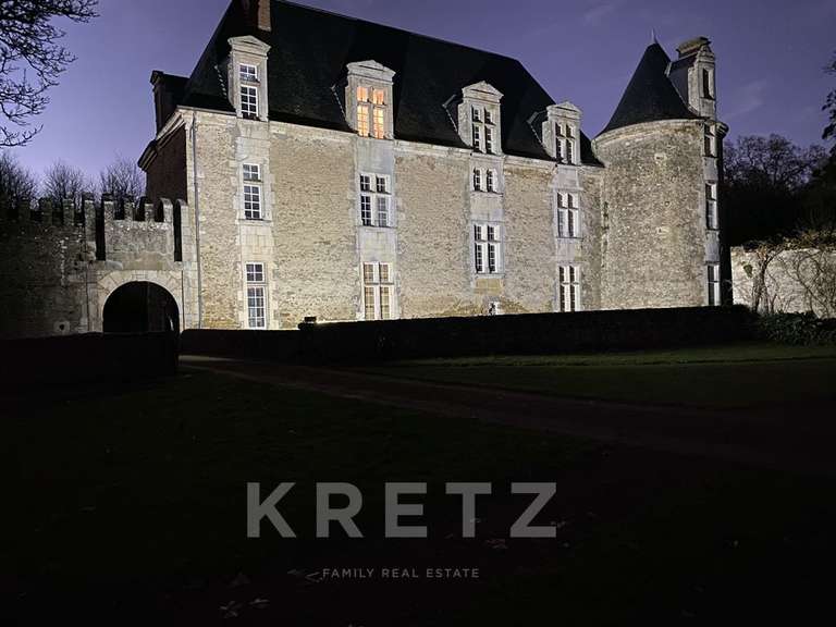 Château La Réorthe - 9 chambres - 1200m²